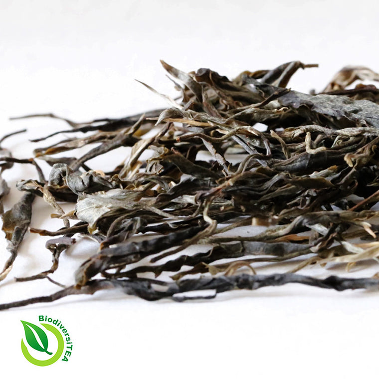 Aged Yi Tribal Coins Tube Fermented Puer Tea 彝族小錢幣熟普洱茶– Wild Tea Qi  Official Website