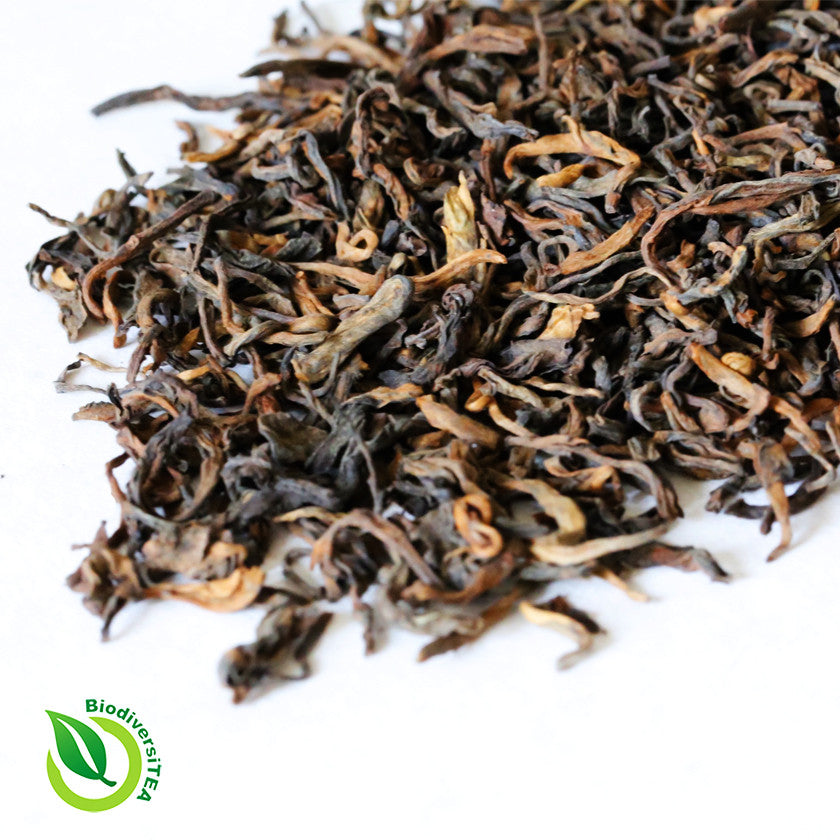 Ancient Artisan Phoenix Fermented Looseleaf Puer Tea Wild Tea Qi Official Website