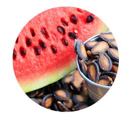 Watermelon seed oil