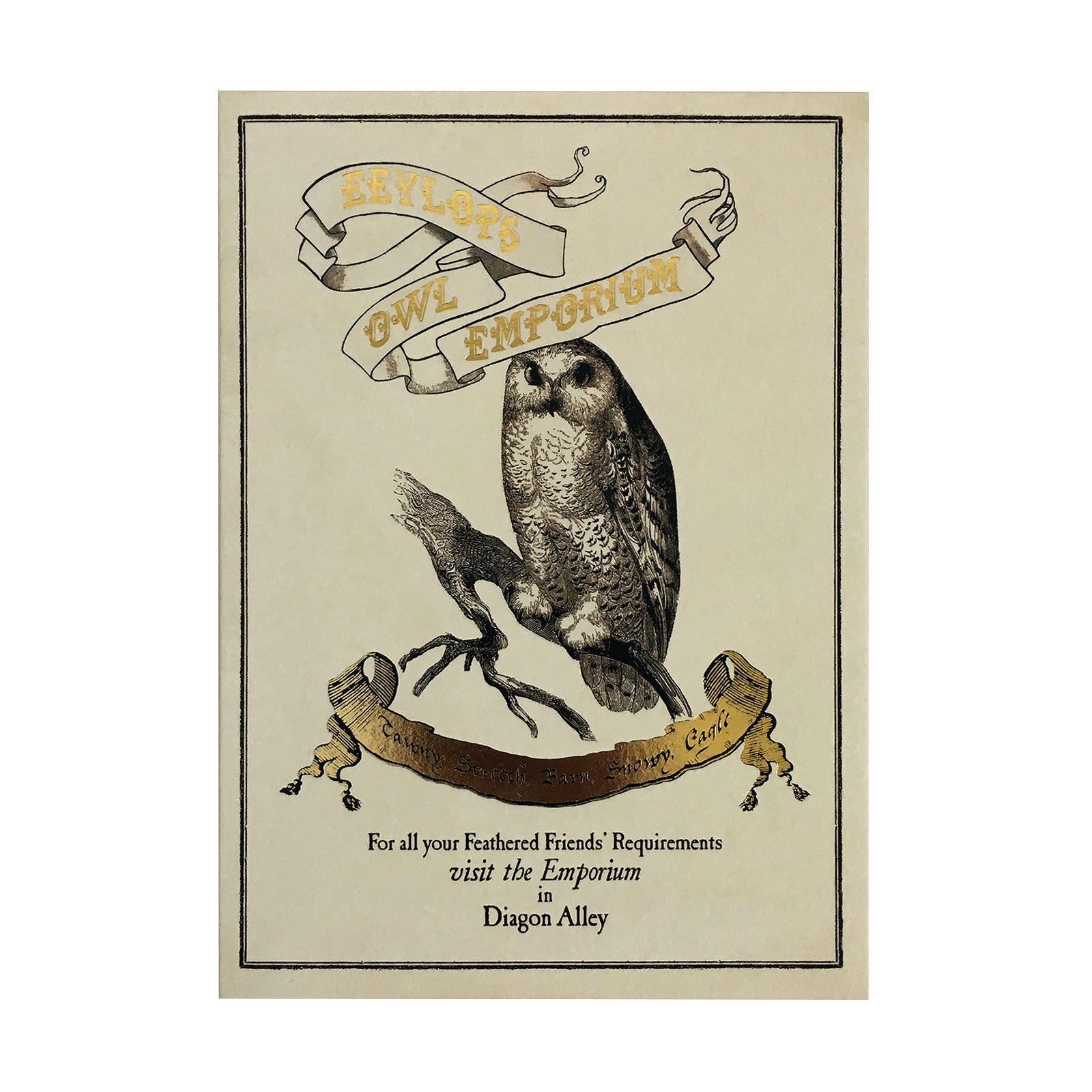 Eeylops Owl Emporium Poster Foiled Notecard Curiosa Purveyors Of Extraordinary Things