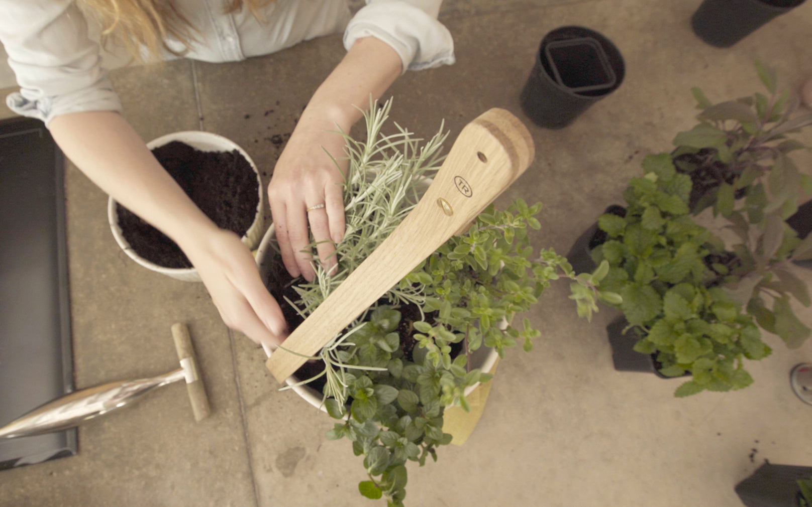 potting-above