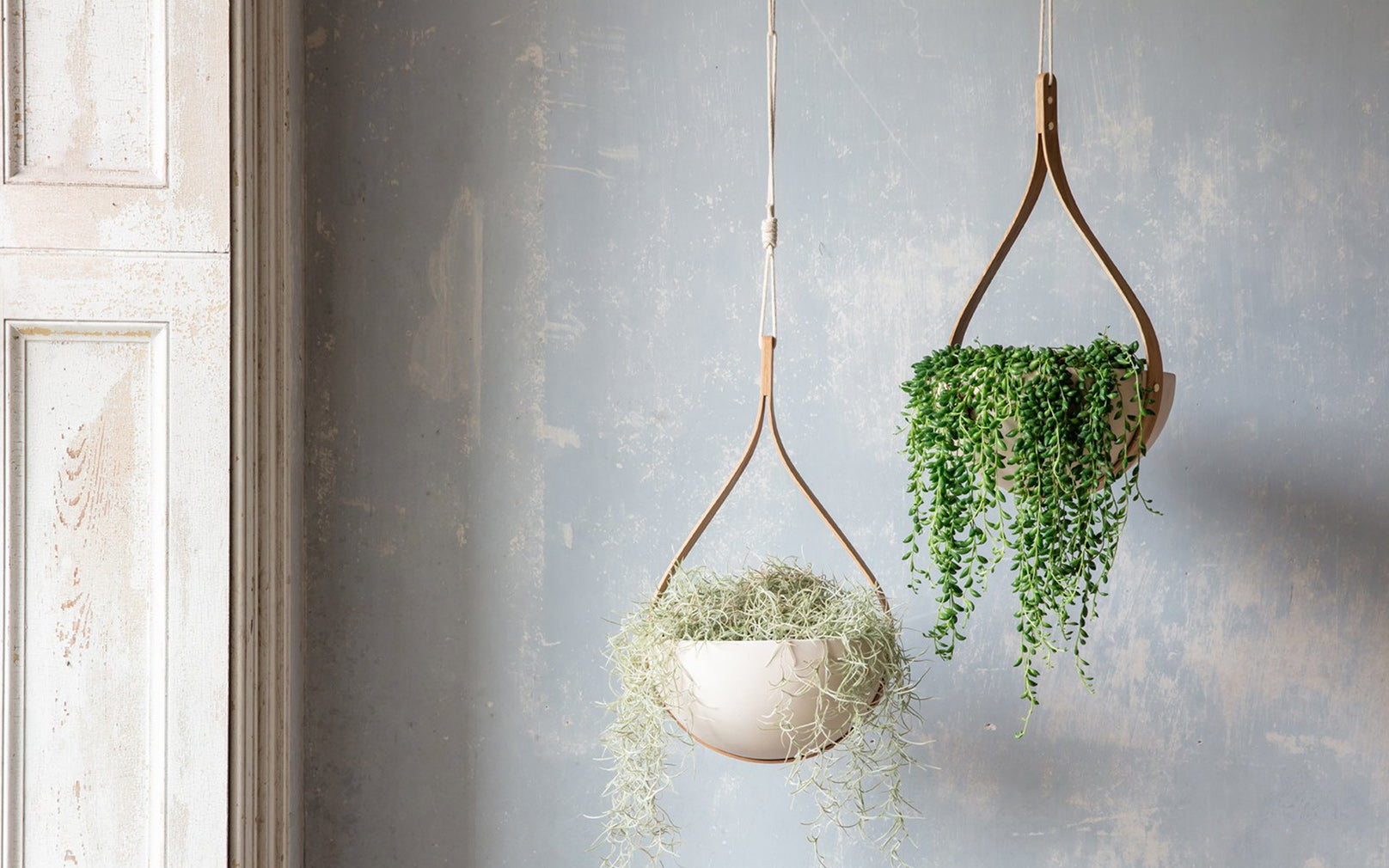 Morvah Ceiling Hanging Planter Tom Raffield