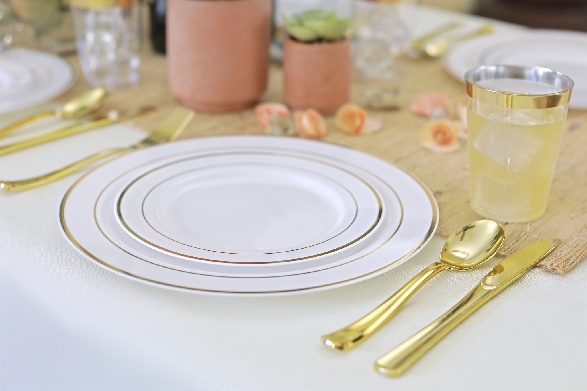 elegant disposable tableware