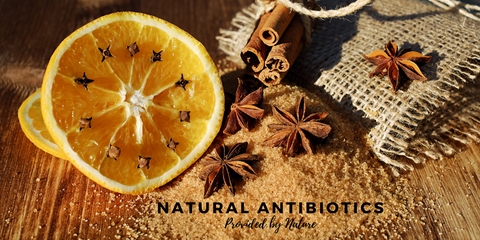Natural Antibiotics Provided by Nature