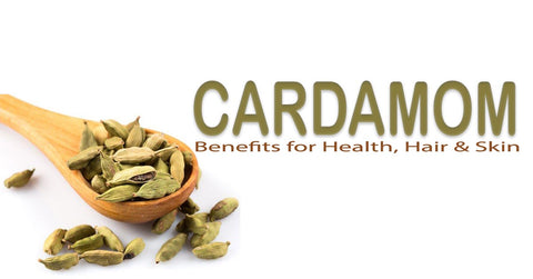Cardamom Benefits