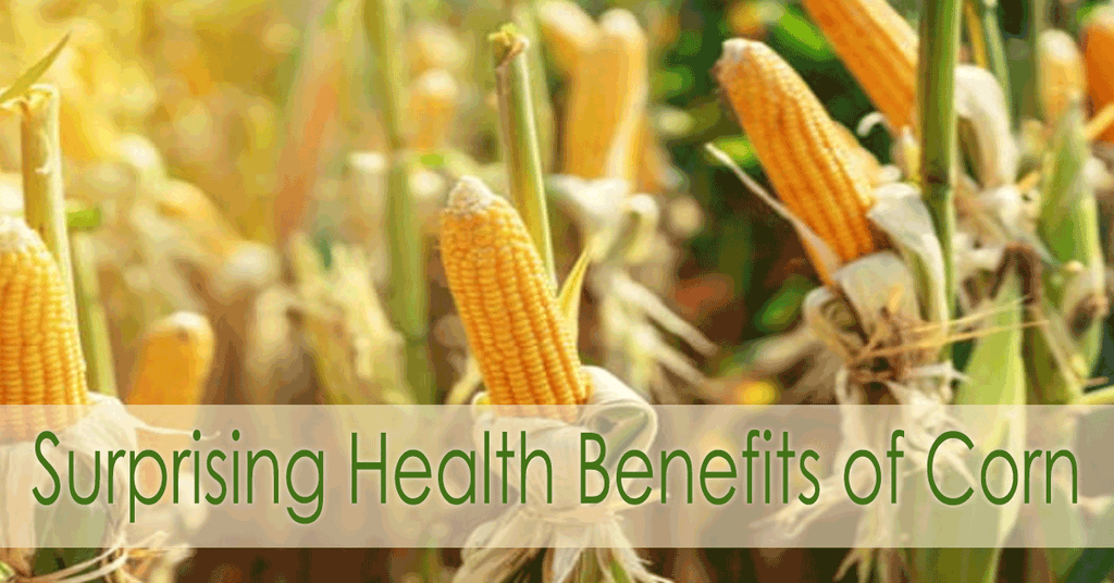 Surprising Health Benefits of Corn