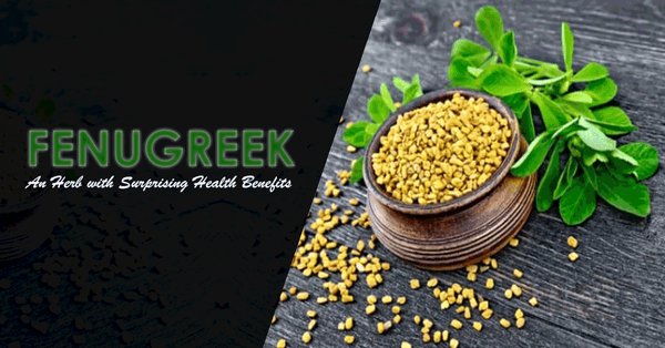 An Herb with Surprising Health Benefits- Fenugreek