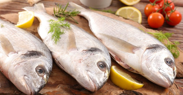 Amazing Health Benefits of Eating Fish