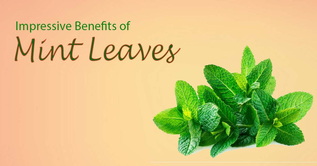 Impressive Benefits of Mint Leaves
