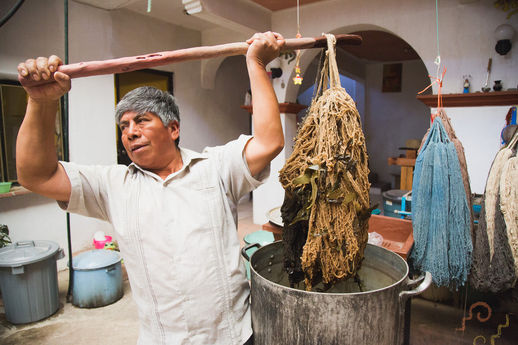 natural dyeing teotitlan del valle