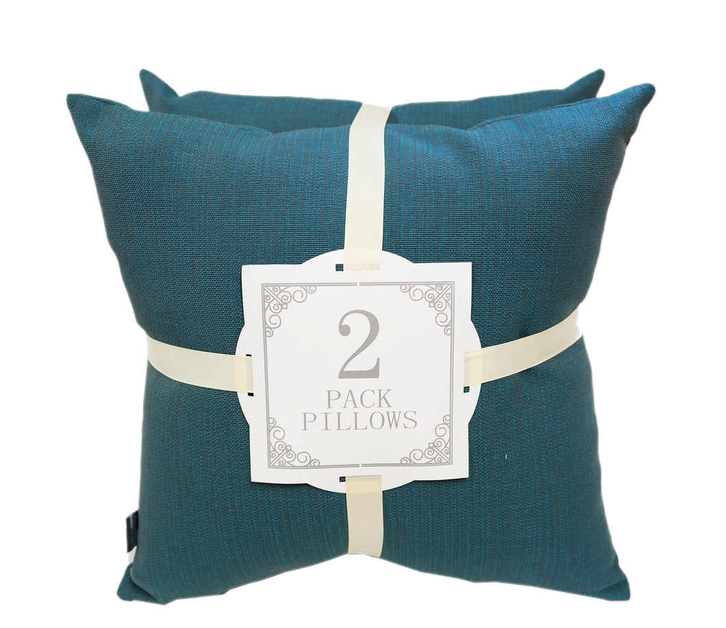 2 pack pillows target