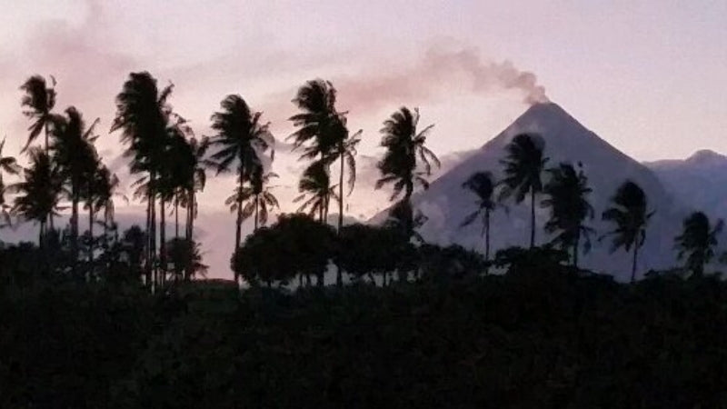 Volcanic ash from Mt Mayon makes the soil rich for pili nut trees. Picture from Jason Thomas, Founder of Pili Hunters