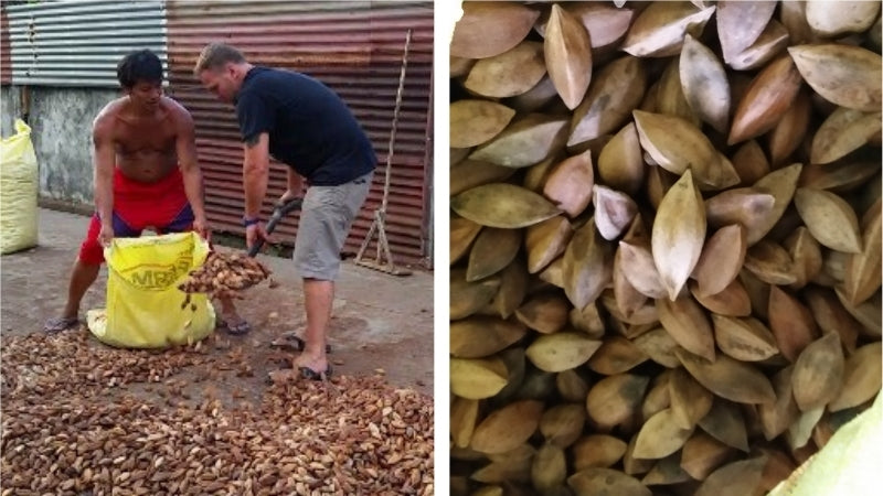 Jason Thomas, CEO of Pili Hunters, is involved in all aspects of the pili nut supply chain
