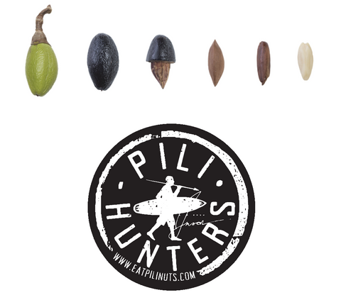 pili hunters logo and nuts