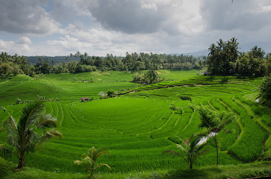 Bali Top Places in 2018