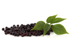 Free elderberries