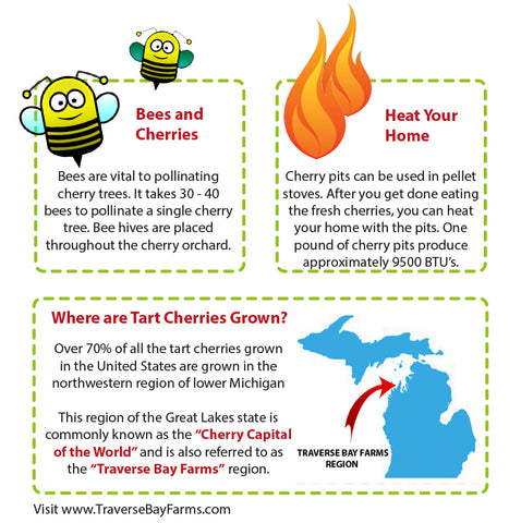 national cherry month fun facts