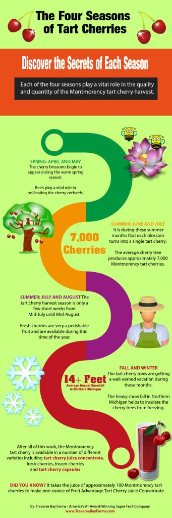 Learn how cherry juice is made from the four seasons of the tart cherry