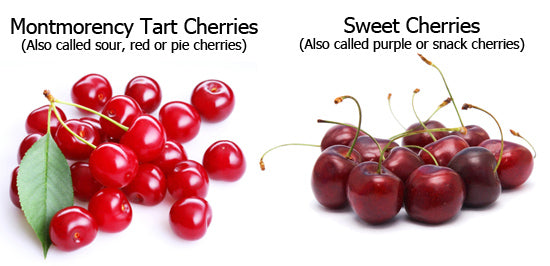 Tart Cherries vs Sweet Cherries