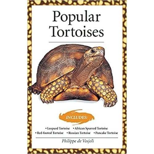 Popular Tortoises Advanced Vivarium Systems Reptiles