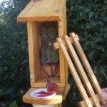 Buterfly Shelter Feeder 7