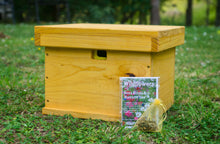 Ultimate Pollination Package - Creative Woodcraft New Zealand