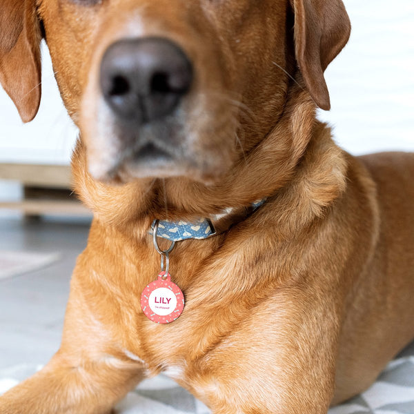 Stylish Bone Pattern Pet ID Tags for Dogs