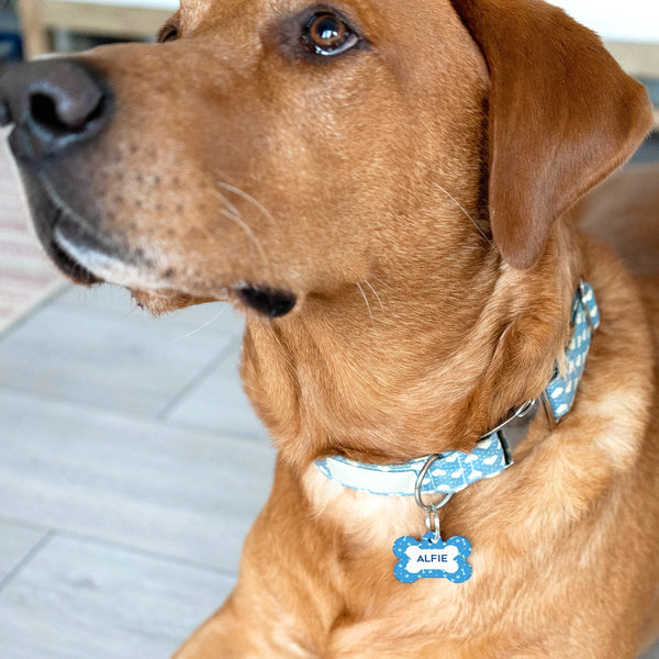 bone pattern dog id tag