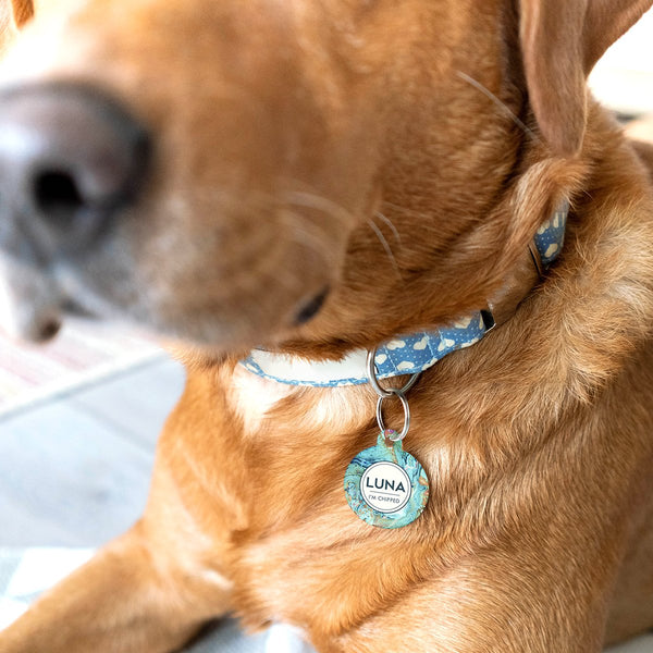 Marble Print Dog Pet ID Tag