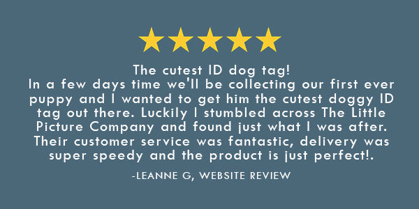 Pet Id Tag Review