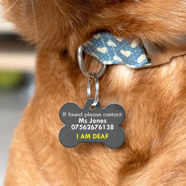 Special Needs Pet ID Tag for Dogs