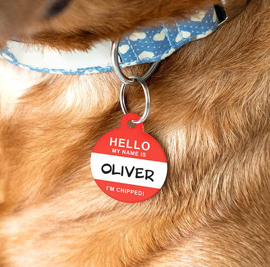 Hello my name is pet dog ID tag