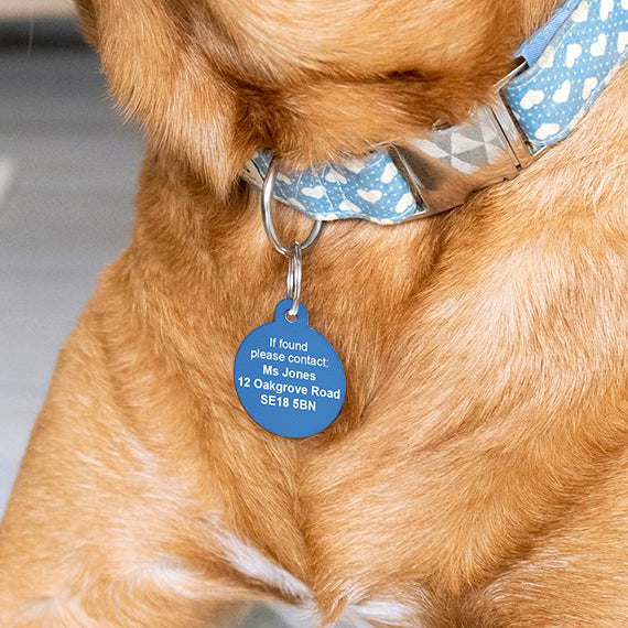 Hello my name is pet dog ID tag back