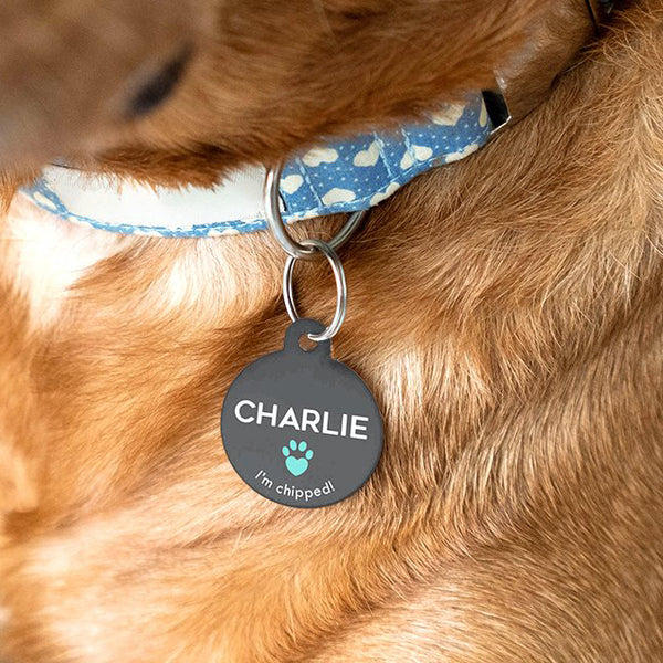 Special Needs Pet ID Tag for Dogs