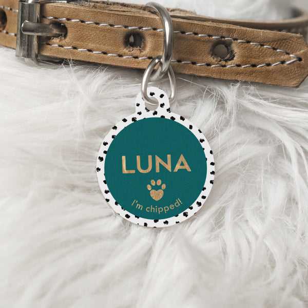 Pet ID tag