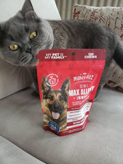 Grey cat fetching the packaging