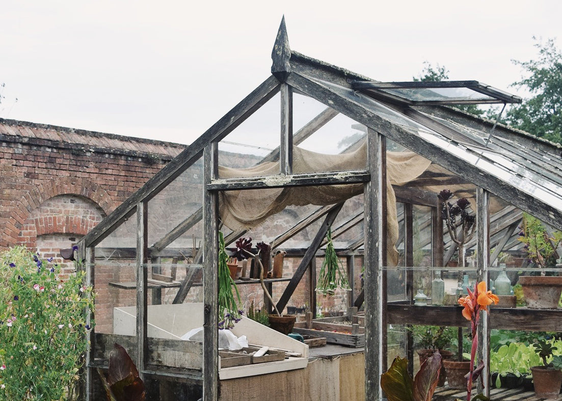 Potting greenhouse at the Lost Gardens of Heligan by Dorte Januszewski