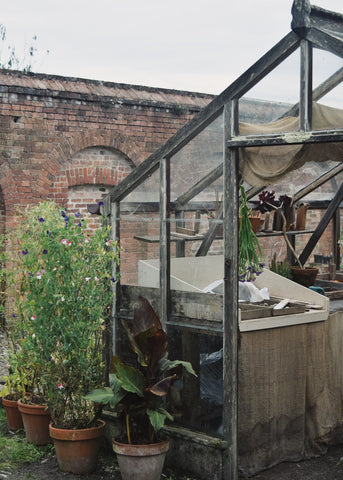 Greenhouse for potting plants at the Lost Gardens of Heligan by Dorte Januszewski