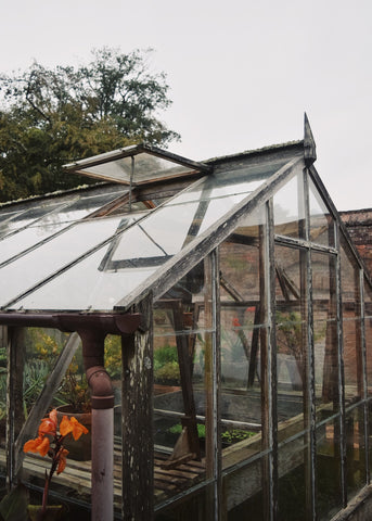 Greenhouse for potting at the Lost Gardens of Heligan by Dorte Januszewski