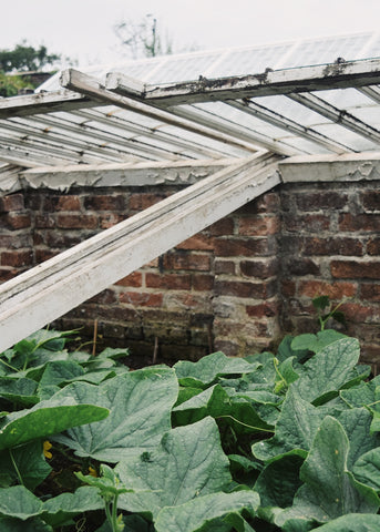 Pumpkin house at the Lost Gardens of Heligan by Dorte Januszewski