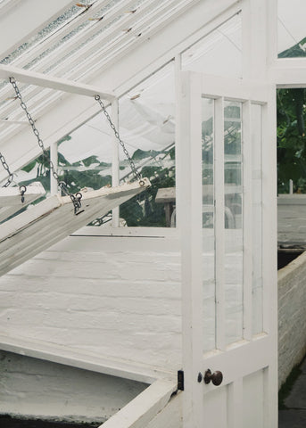 Inside of glasshouse at the Lost Gardens of Heligan by Dorte Januszewski