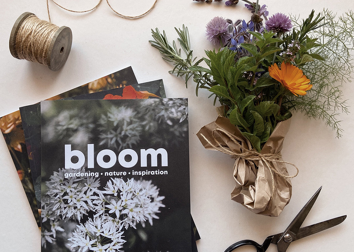 Bloom magazines with herb posy by Dorte Januszewski