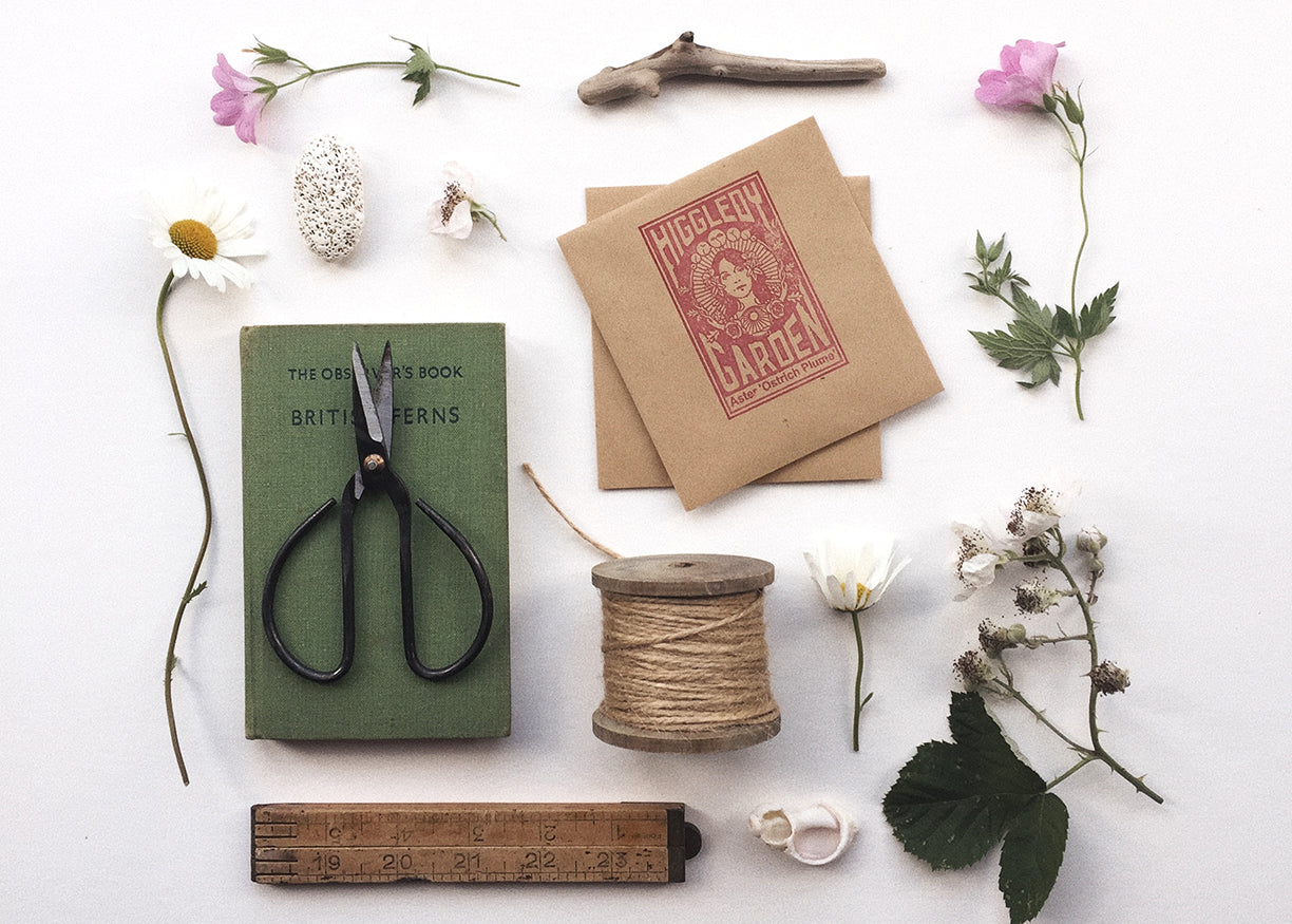 Garden flat lay with seed packets by Dorte Januszewski