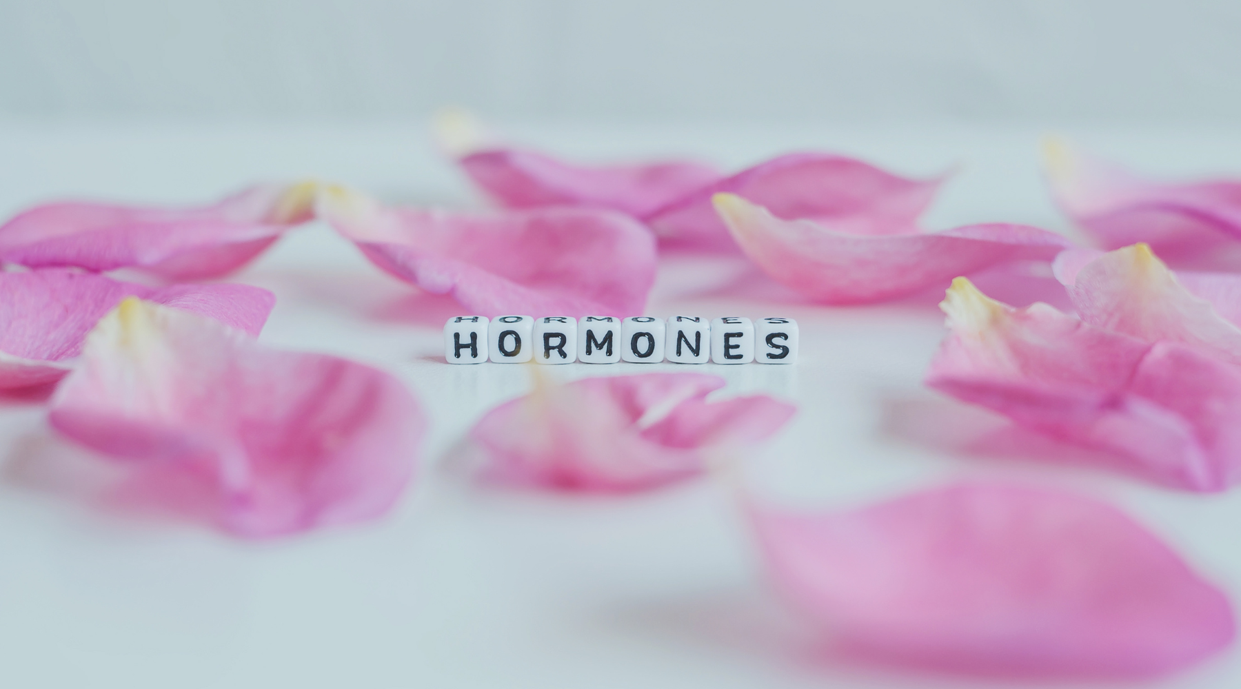hormones amongst rose pedals