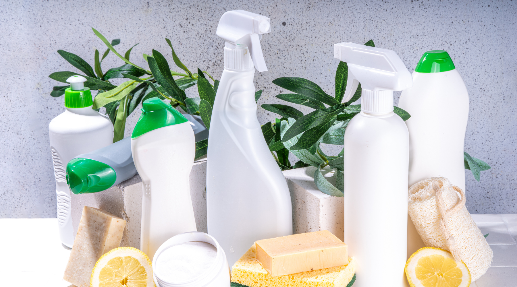 green cleaning products without endocrine discruptors