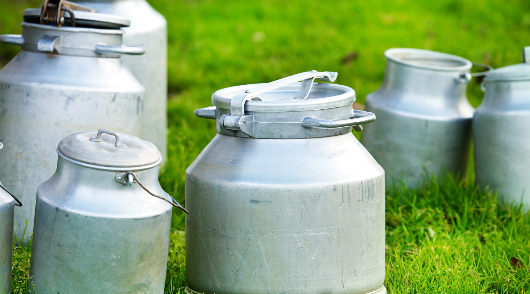 metal containers with milk