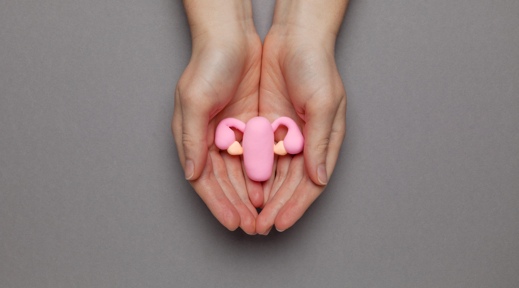 hands holding uterus