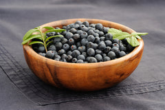 Wild Blueberries | Senza Top 100 Keto Foods