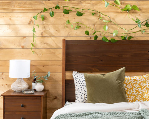 Natural wood headboard and nightstand with ivy on the walls behind it. 