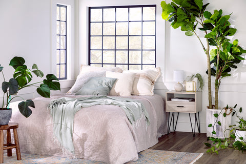 Light and airy bedroom with a queen bed, nightstand and large window next to a large fiddle leaf fig tree plant.